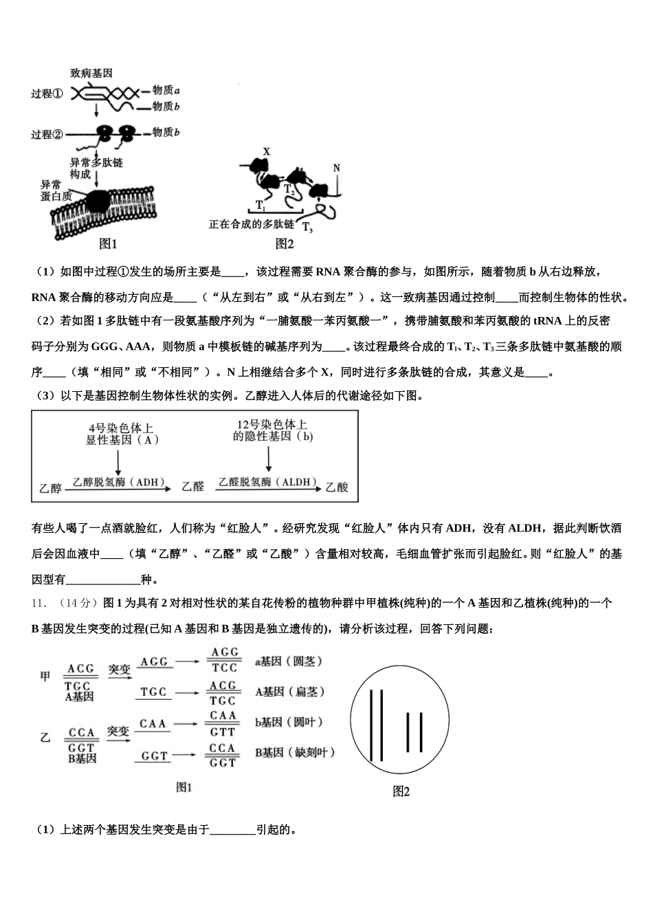 湖南省邵阳市崀山培英学校2024-2025学年高一下生物期末达标测试试题含解析_第3页