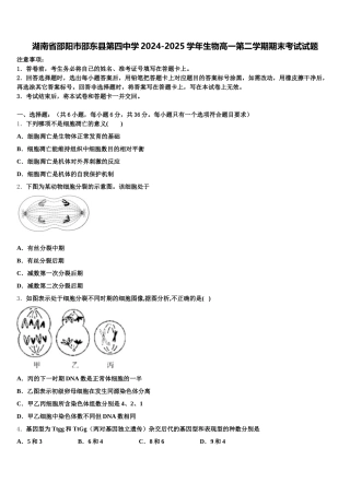湖南省邵阳市邵东县第四中学2024-2025学年生物高一第二学期期末考试试题含解析