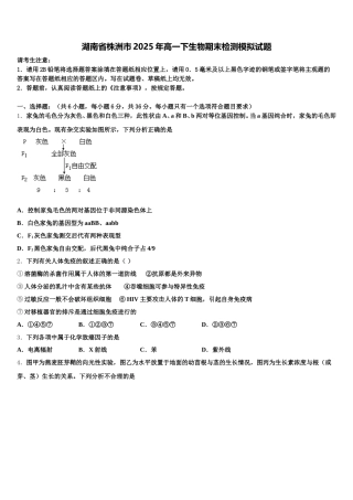 湖南省株洲市2025年高一下生物期末检测模拟试题含解析