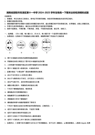 湖南省邵阳市双清区第十一中学2024-2025学年生物高一下期末达标检测模拟试题含解析