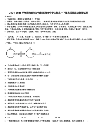 2024-2025学年湖南省长沙市长郡湘府中学生物高一下期末质量跟踪监视试题含解析