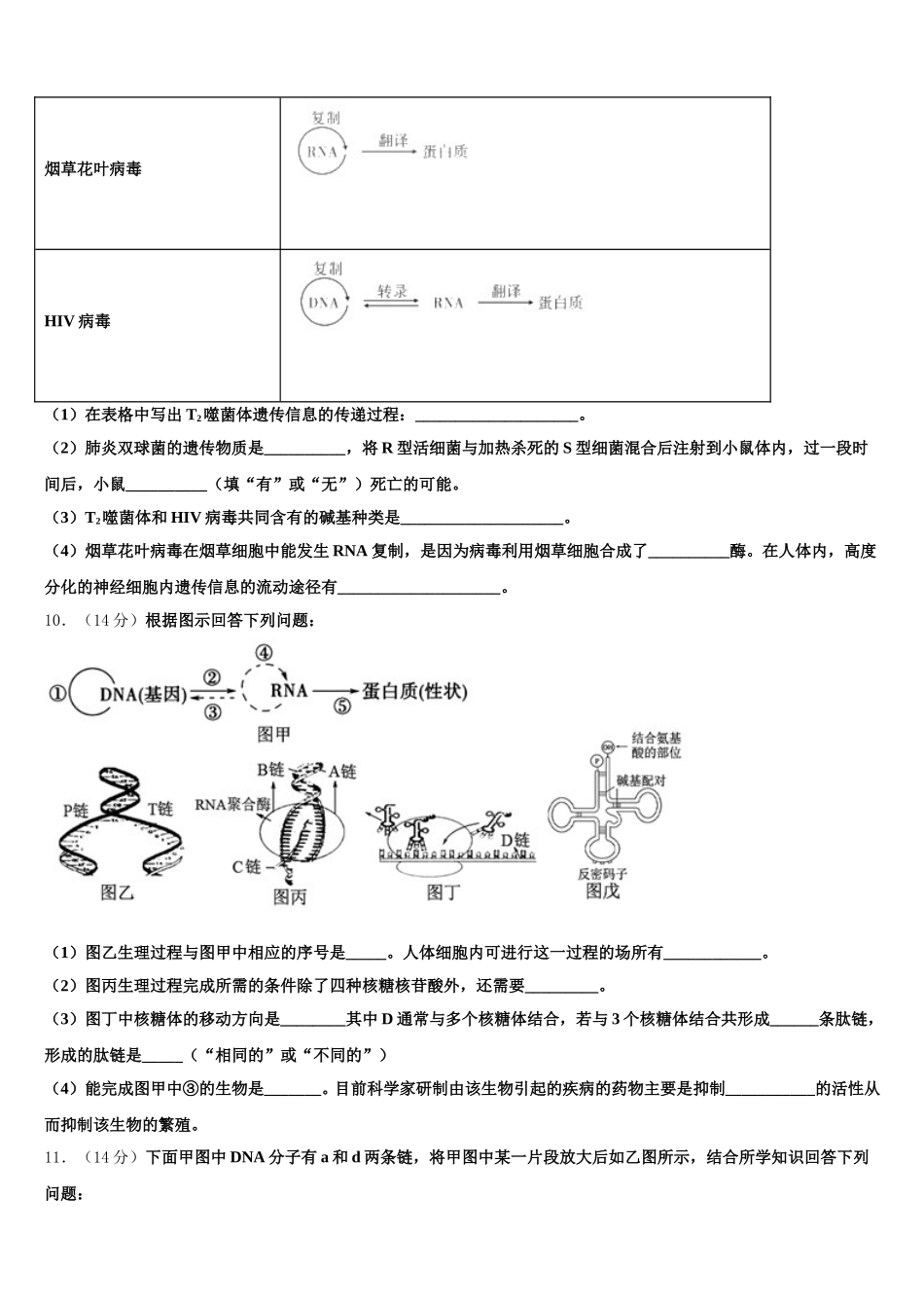 2025届湖南省长沙市师大附中梅溪湖中学高一下生物期末学业水平测试模拟试题含解析_第3页
