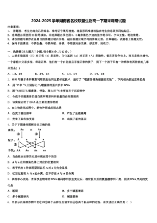 2024-2025学年湖南省名校联盟生物高一下期末调研试题含解析