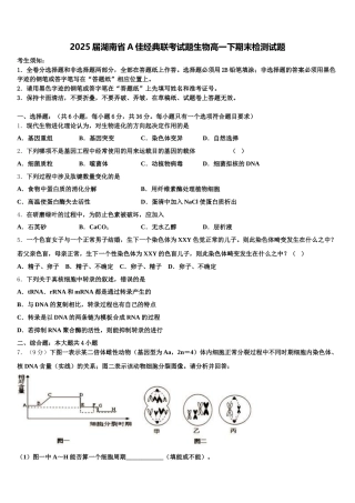 2025届湖南省A佳经典联考试题生物高一下期末检测试题含解析