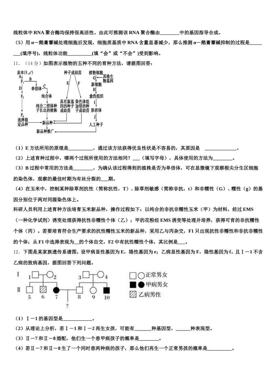 2025年湖南省邵东县第三中学生物高一下期末学业质量监测模拟试题含解析_第3页