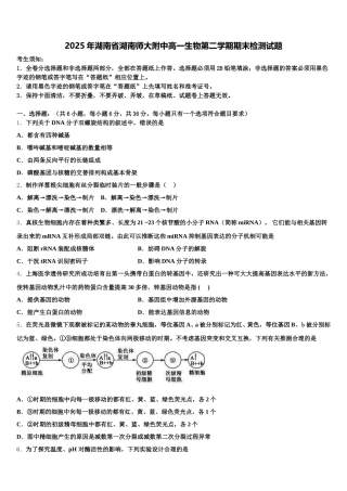 2025年湖南省湖南师大附中高一生物第二学期期末检测试题含解析