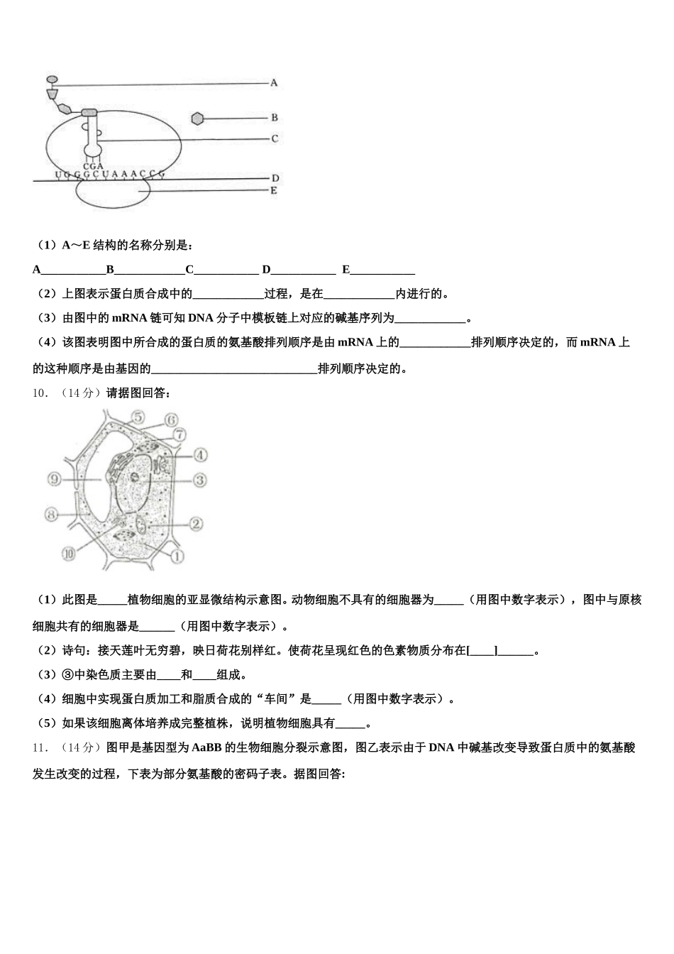 湖南省长沙市开福区长沙一中2025届生物高一第二学期期末统考模拟试题含解析_第3页