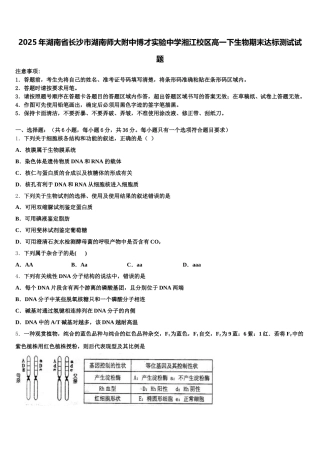 2025年湖南省长沙市湖南师大附中博才实验中学湘江校区高一下生物期末达标测试试题含解析