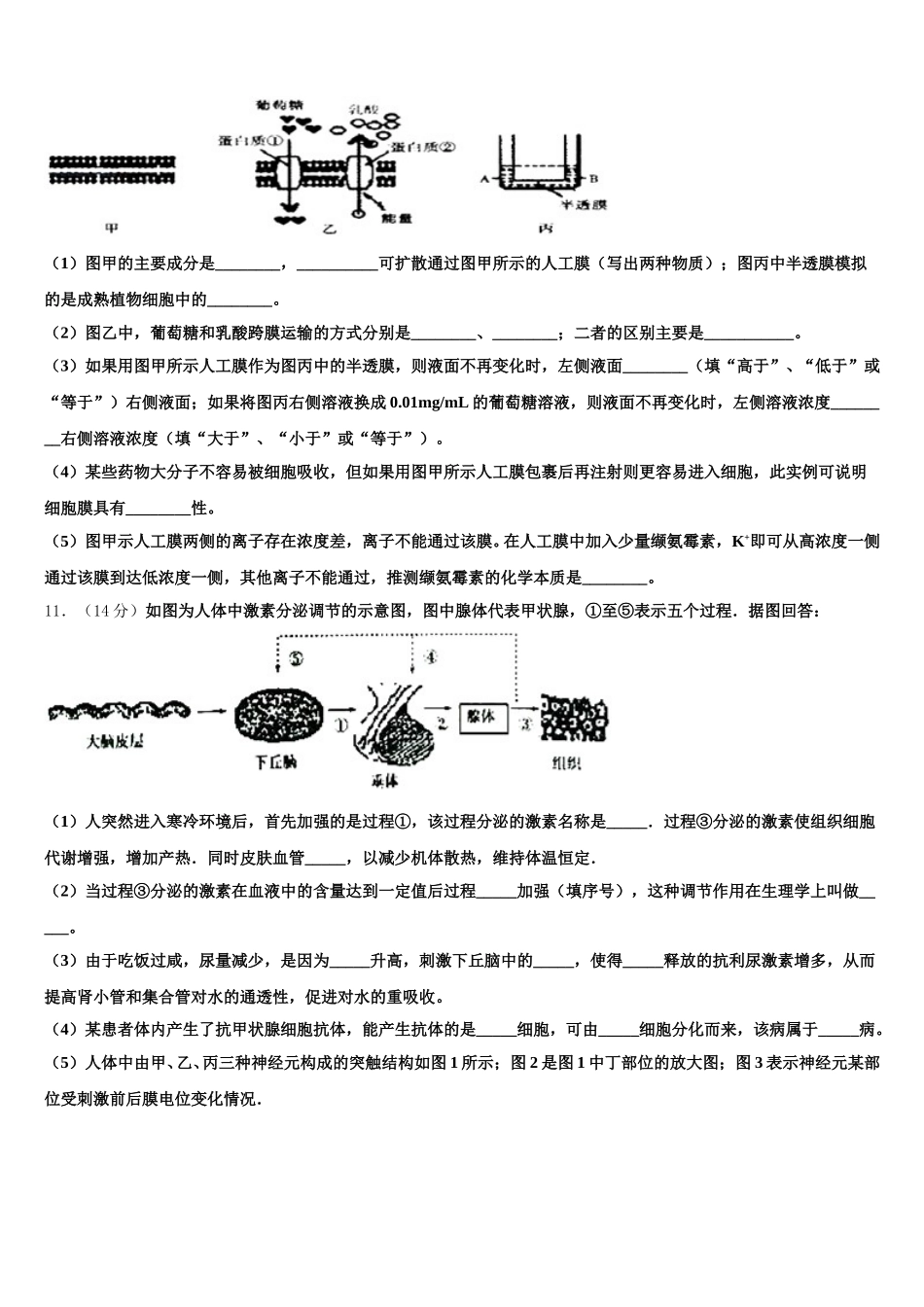 2024-2025学年湖南师范大学附中高一下生物期末学业质量监测模拟试题含解析_第3页