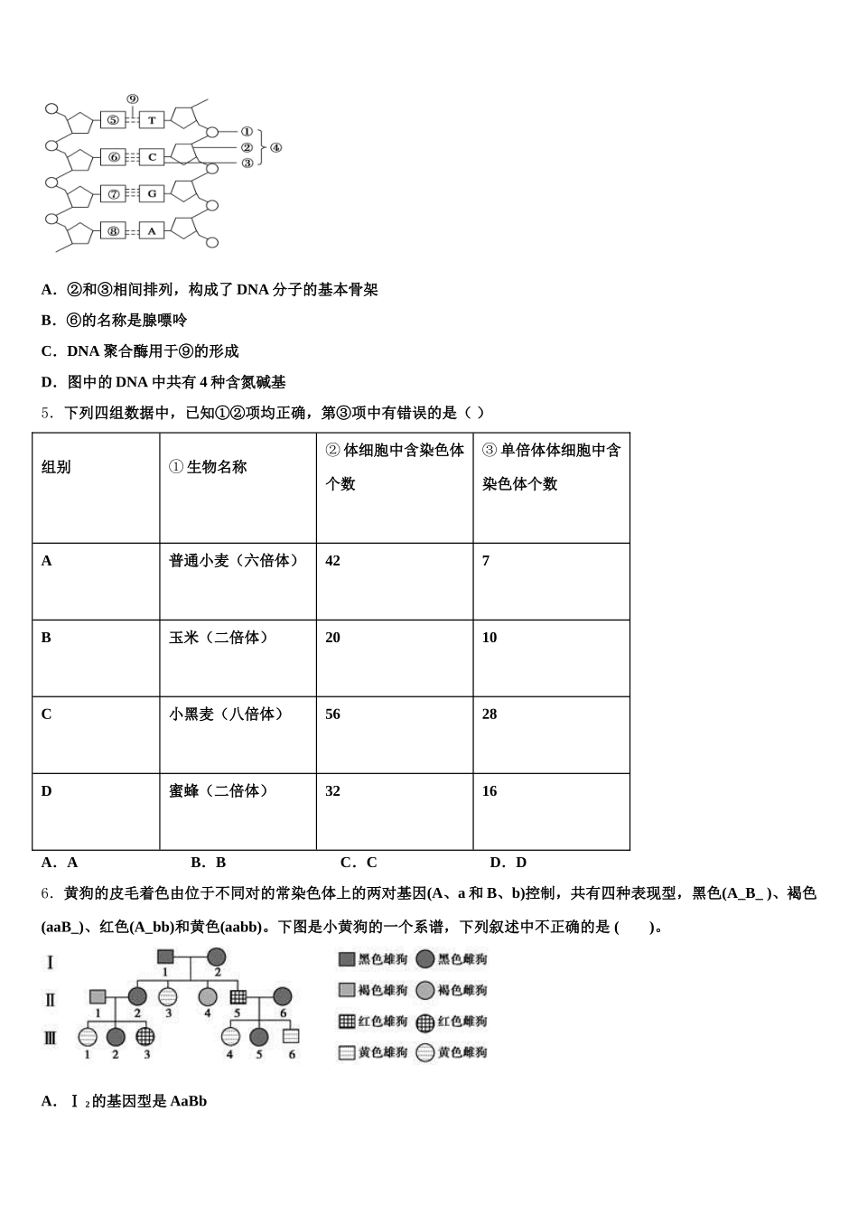 2025年湖南省A佳教育大联盟高一生物第二学期期末统考试题含解析_第2页