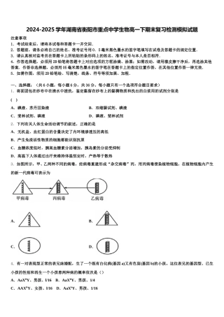 2024-2025学年湖南省衡阳市重点中学生物高一下期末复习检测模拟试题含解析