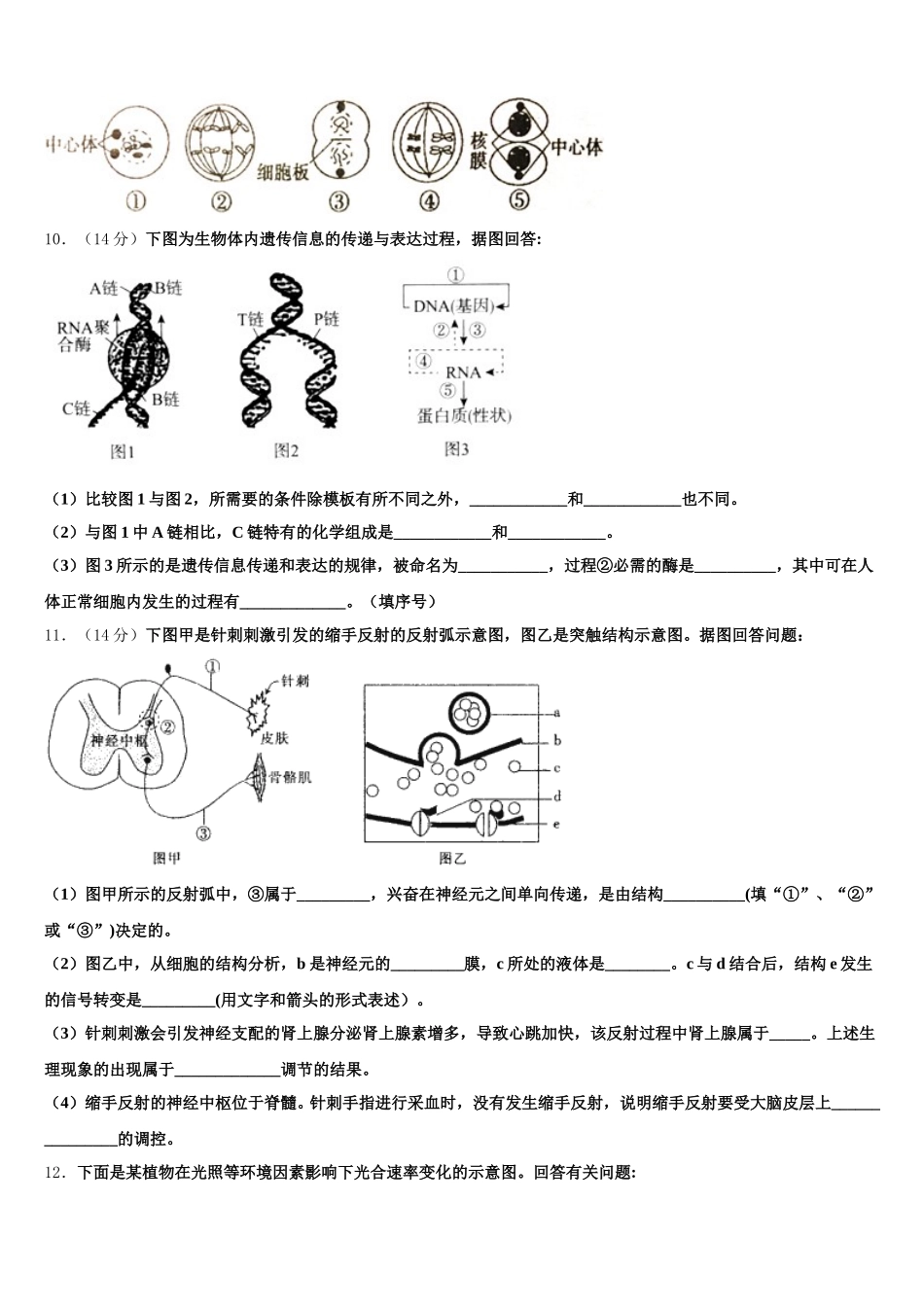 湖南省两校联考2025年生物高一第二学期期末考试模拟试题含解析_第3页