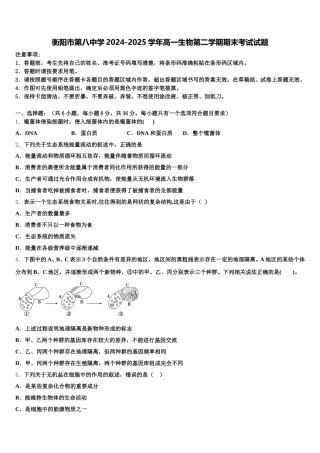衡阳市第八中学2024-2025学年高一生物第二学期期末考试试题含解析