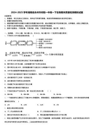 2024-2025学年湖南省永州市祁阳一中高一下生物期末质量检测模拟试题含解析