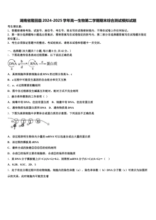 湖南省隆回县2024-2025学年高一生物第二学期期末综合测试模拟试题含解析