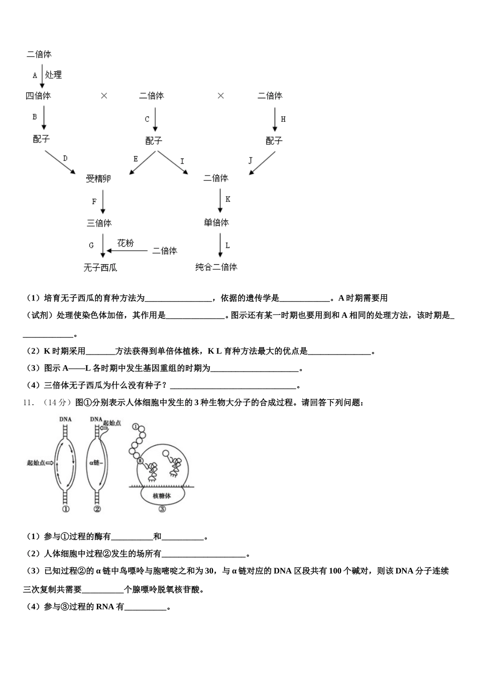 湖南省株洲市茶陵县二中2024-2025学年高一生物第二学期期末学业质量监测试题含解析_第3页