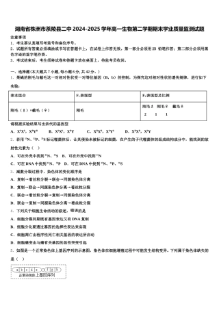 湖南省株洲市茶陵县二中2024-2025学年高一生物第二学期期末学业质量监测试题含解析