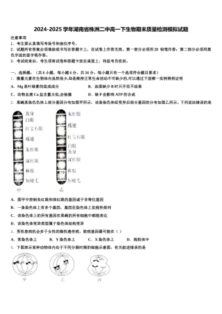 2024-2025学年湖南省株洲二中高一下生物期末质量检测模拟试题含解析