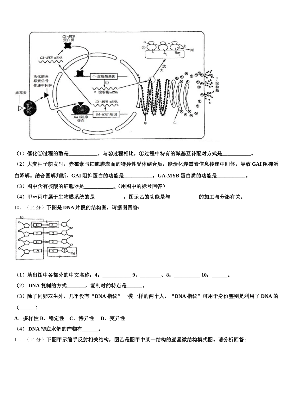 2024-2025学年湖南省长沙市重点中学生物高一第二学期期末质量跟踪监视试题含解析_第3页