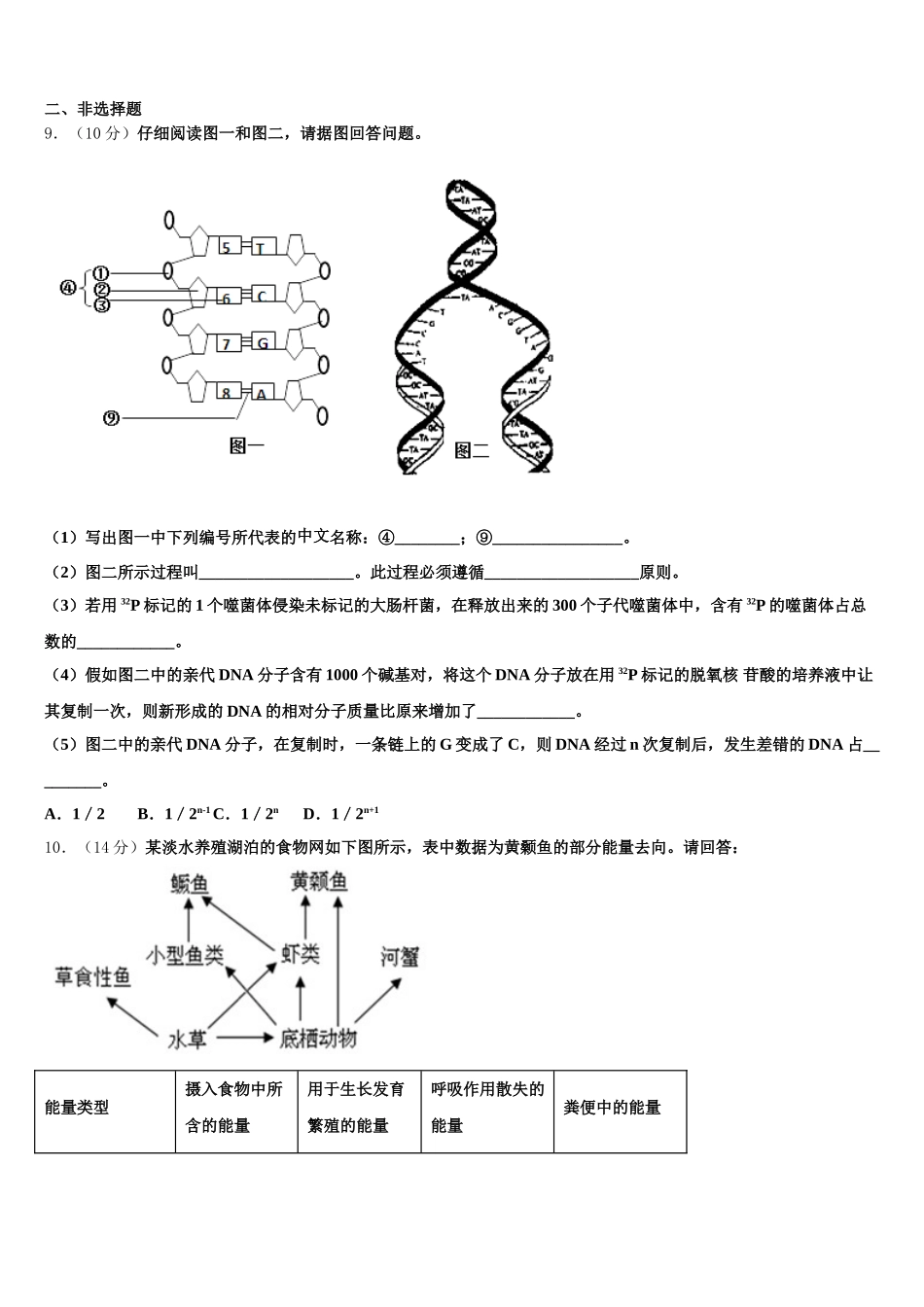 2025年湖南省邵阳市新邵县高一生物第二学期期末调研模拟试题含解析_第3页