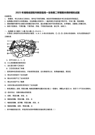 2025年湖南省邵阳市新邵县高一生物第二学期期末调研模拟试题含解析