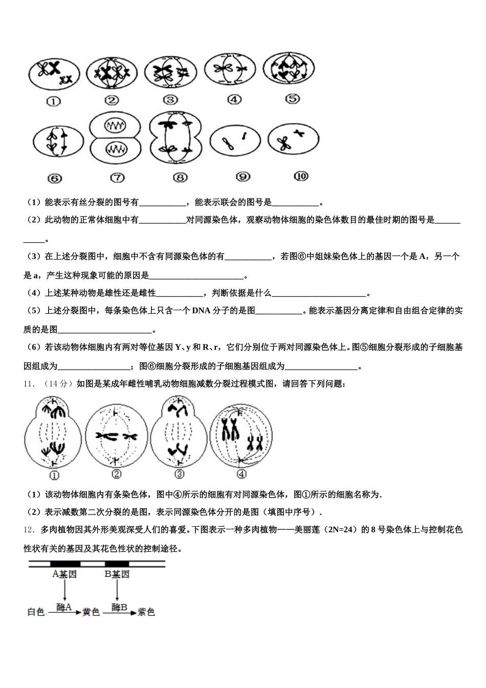 2025年全国生物高一下期末调研模拟试题含解析_第3页