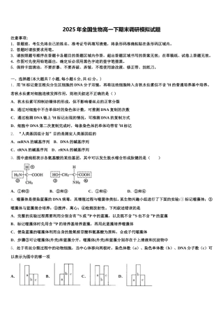 2025年全国生物高一下期末调研模拟试题含解析