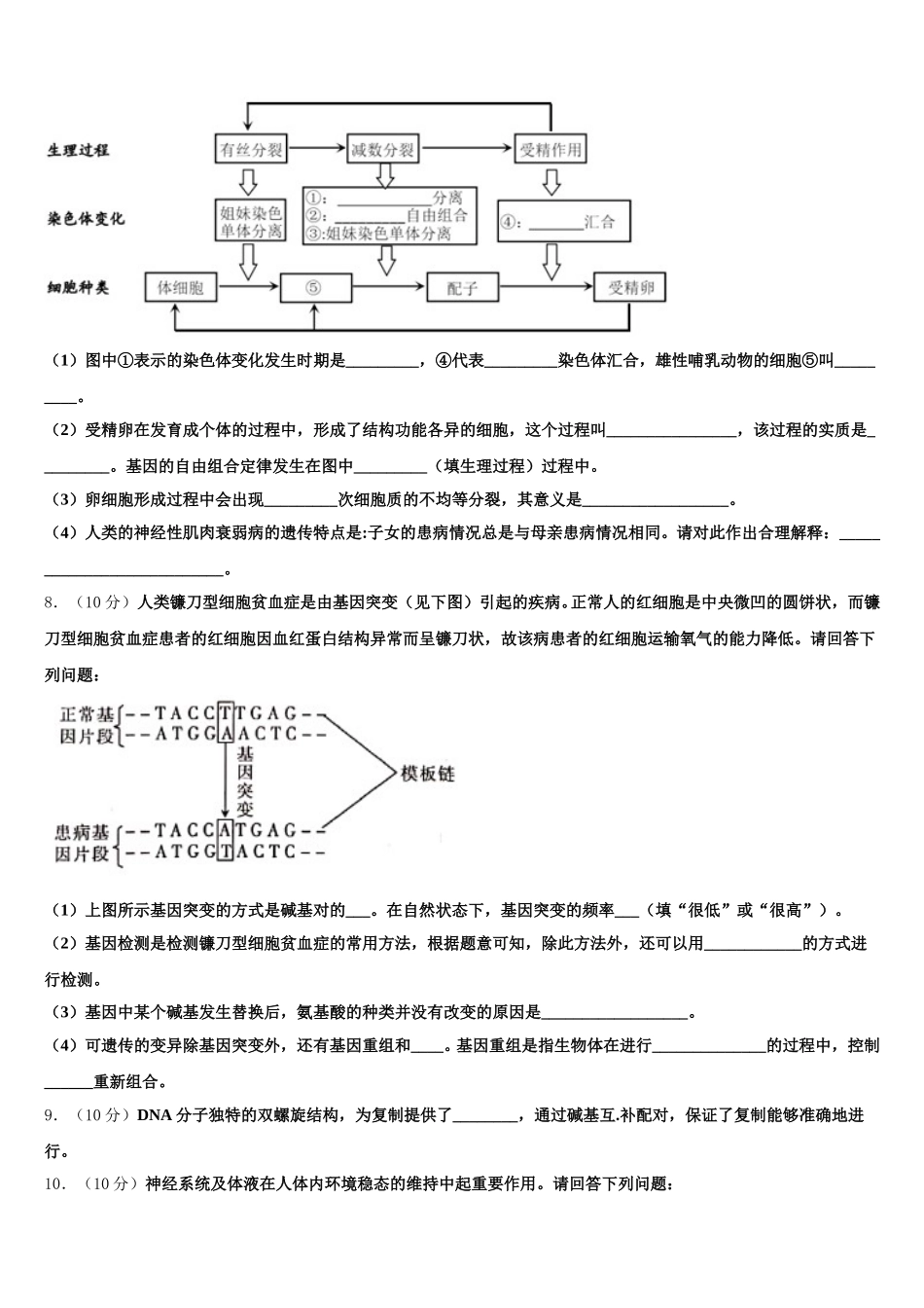 2025届湖南省衡阳八中高一下生物期末质量跟踪监视试题含解析_第3页