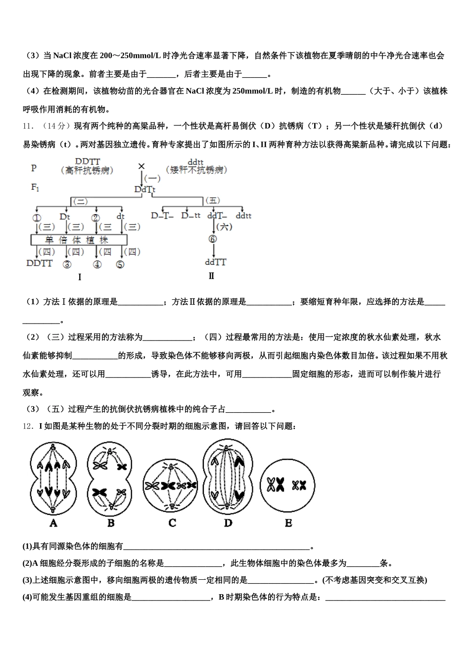 湖南省凤凰县皇仓中学2025届生物高一第二学期期末联考试题含解析_第3页