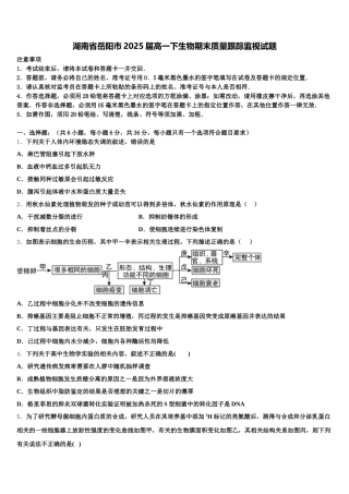 湖南省岳阳市2025届高一下生物期末质量跟踪监视试题含解析