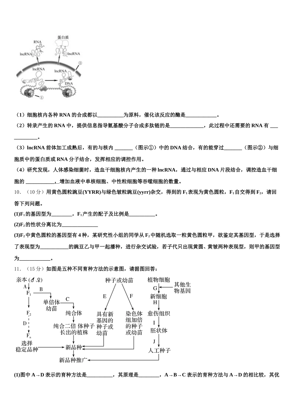 湖南省邵阳市邵东第十中学2024-2025学年生物高一下期末复习检测模拟试题含解析_第3页