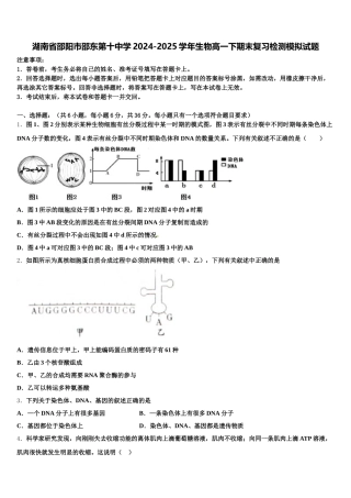 湖南省邵阳市邵东第十中学2024-2025学年生物高一下期末复习检测模拟试题含解析