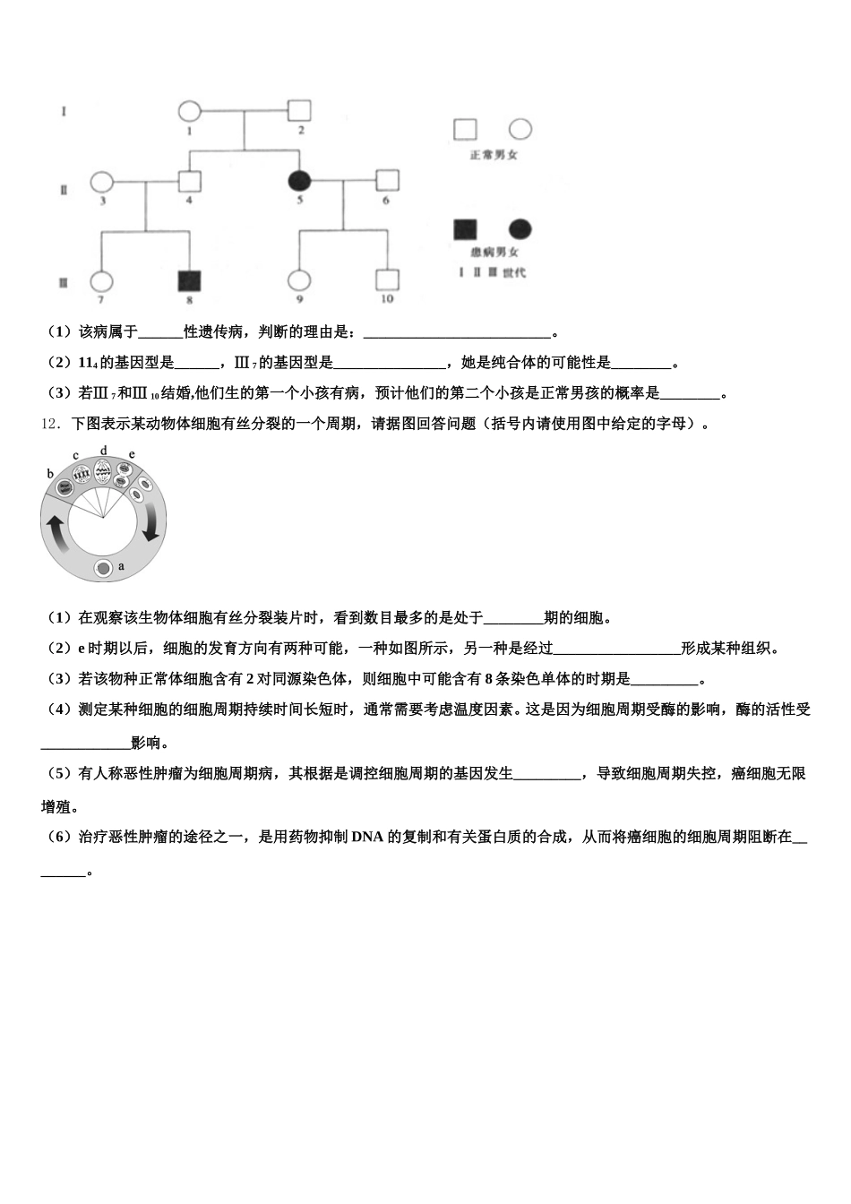 2025届湖南省邵阳市第十一中学高一下生物期末考试试题含解析_第3页