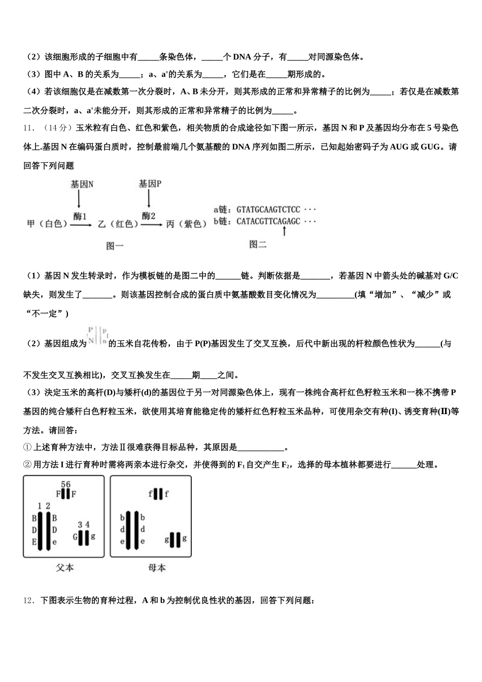 湖南省衡阳市衡阳县第四中学2024-2025学年高一生物第二学期期末考试试题含解析_第3页