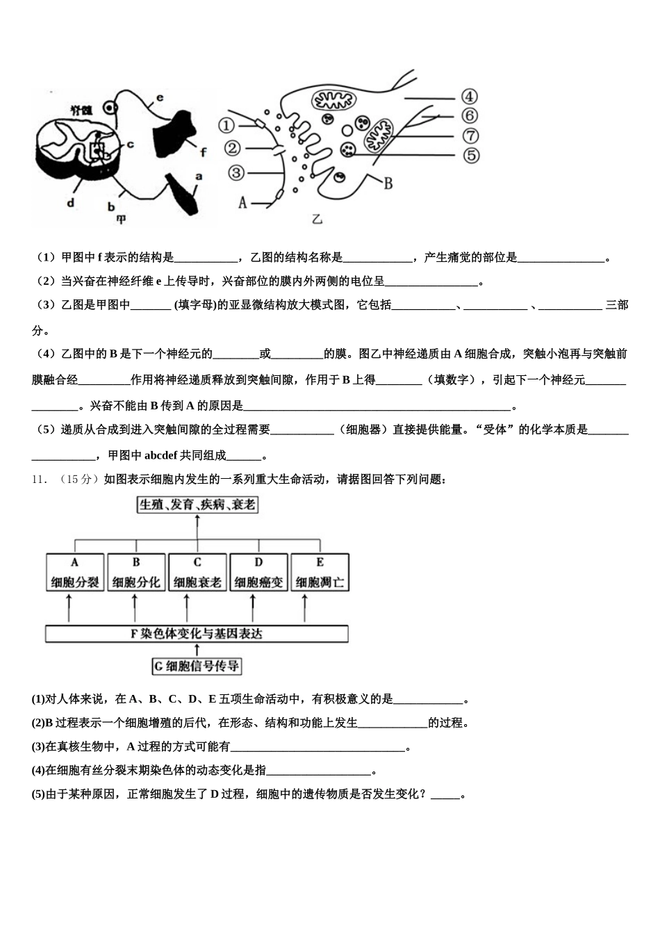 湖南省怀化市中方县第二中学2025年生物高一下期末经典试题含解析_第3页