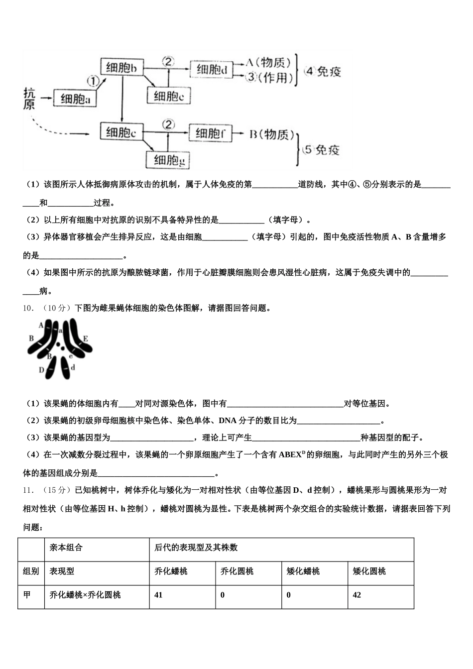 2025届函数全真试题专项解析-生物高一下期末统考试题含解析_第3页