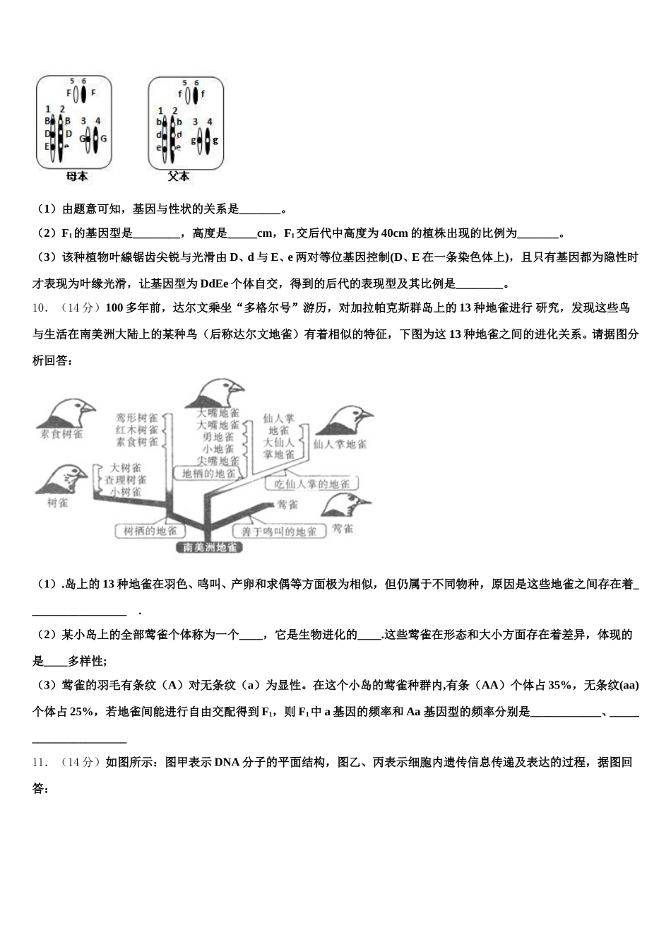 益阳市重点中学2024-2025学年高一下生物期末经典试题含解析_第3页
