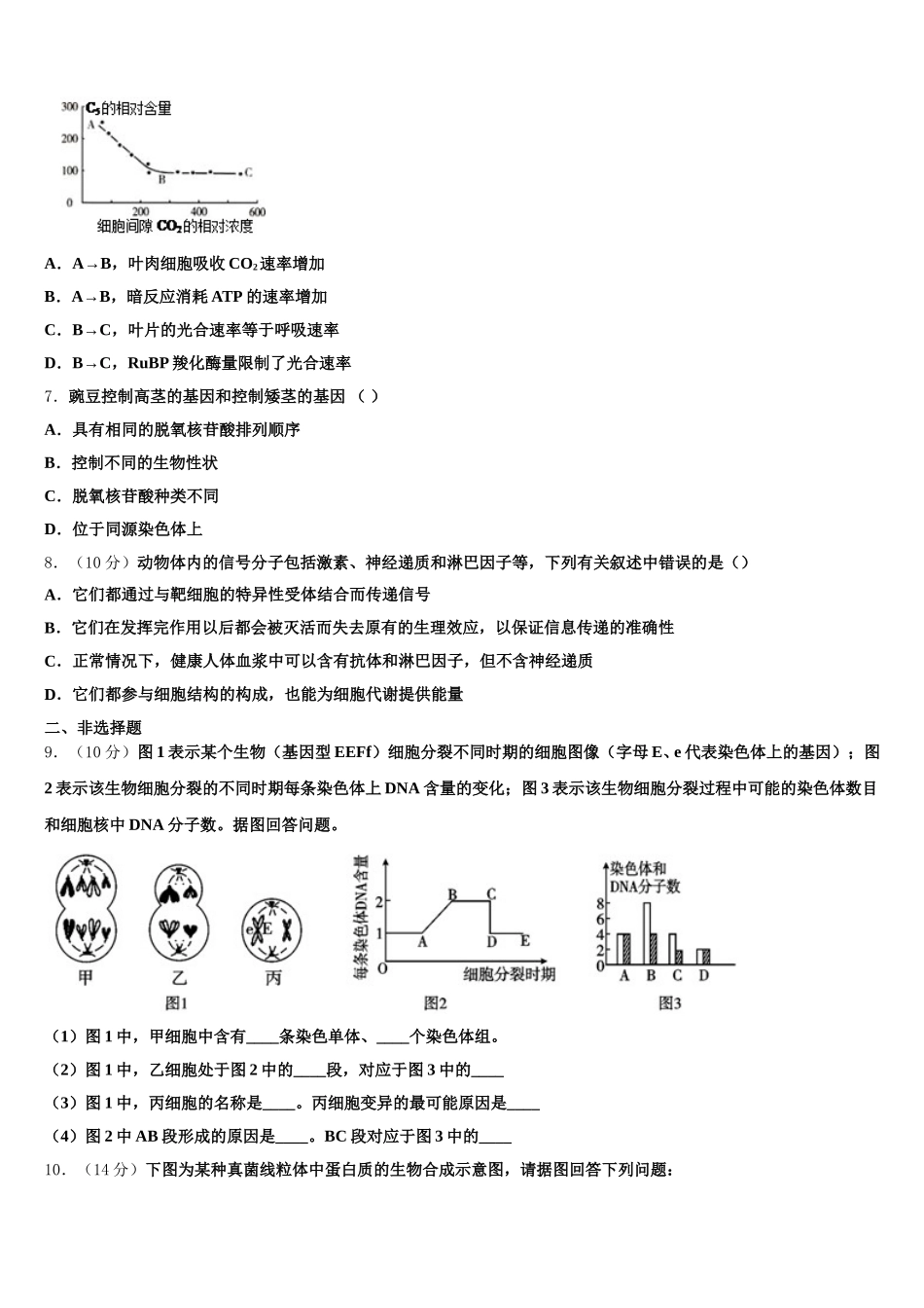 2025年湖南省郴州市一中生物高一下期末综合测试模拟试题含解析_第2页