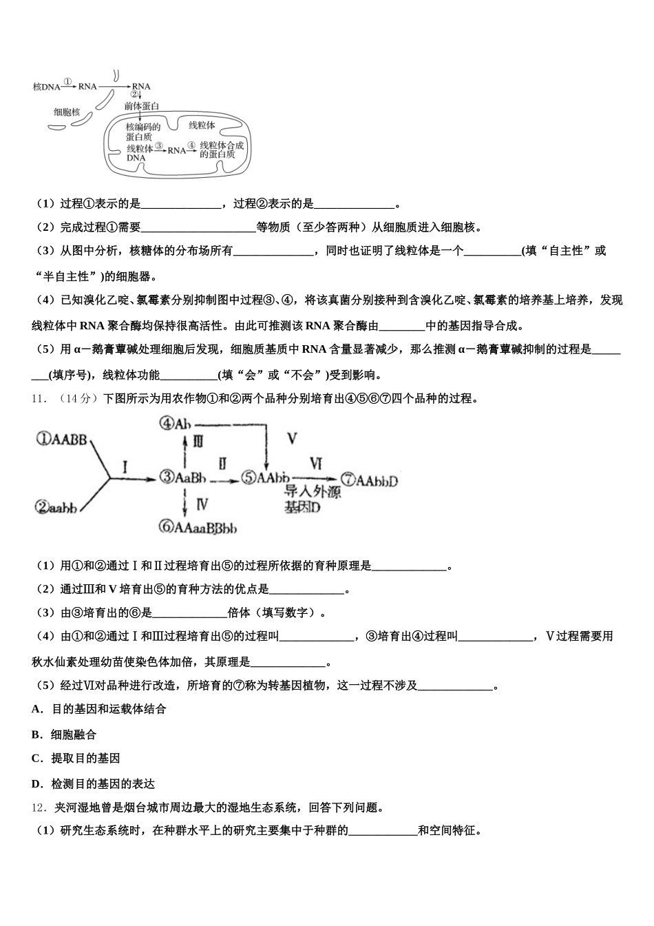 2025年湖南省郴州市一中生物高一下期末综合测试模拟试题含解析_第3页