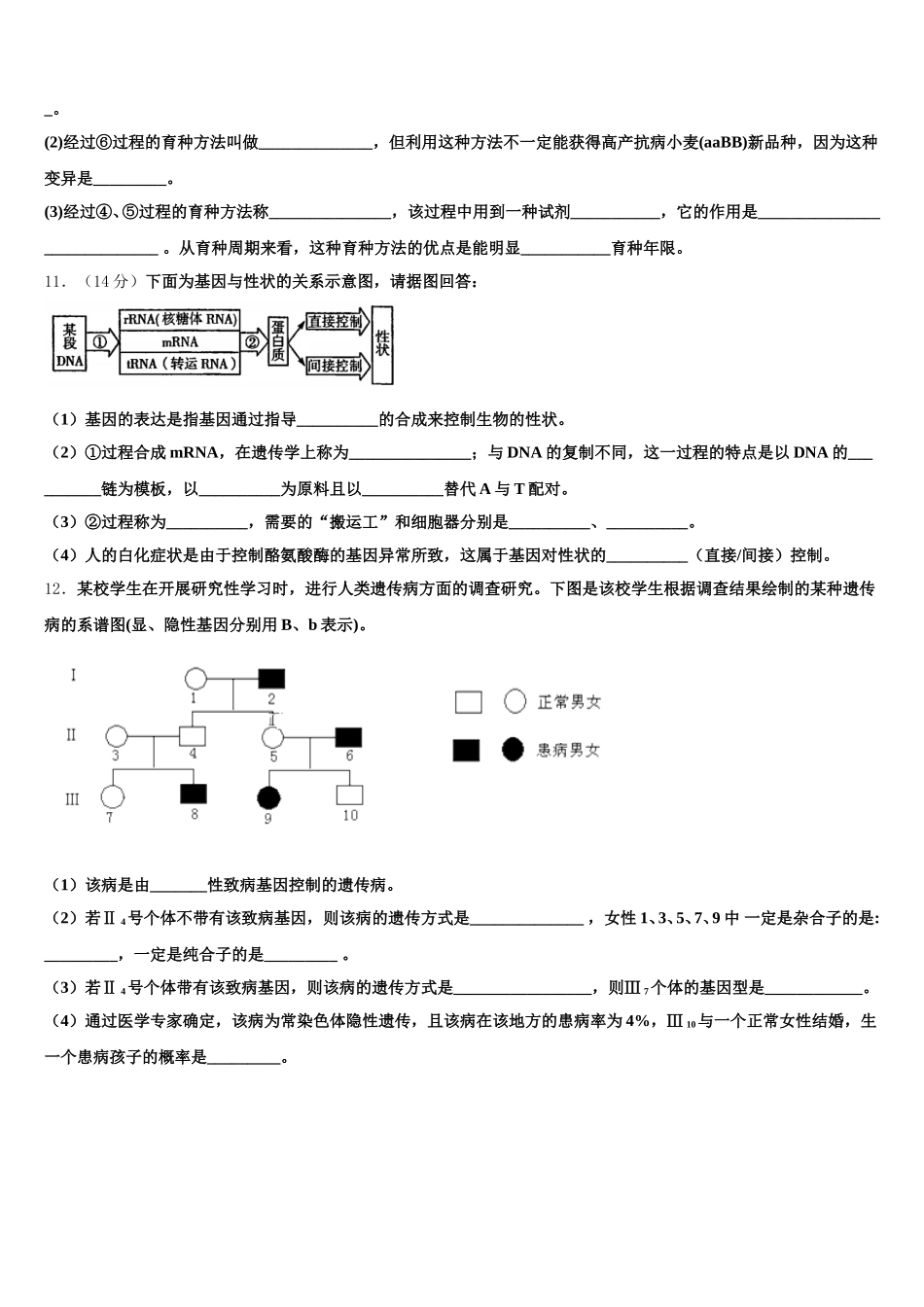 湖南省衡阳市祁东县第二中学2024-2025学年生物高一下期末调研模拟试题含解析_第3页