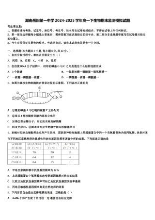 湖南岳阳第一中学2024-2025学年高一下生物期末监测模拟试题含解析