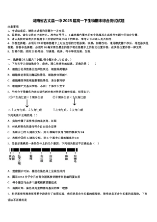 湖南省古丈县一中2025届高一下生物期末综合测试试题含解析