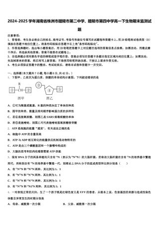 2024-2025学年湖南省株洲市醴陵市第二中学、醴陵市第四中学高一下生物期末监测试题含解析