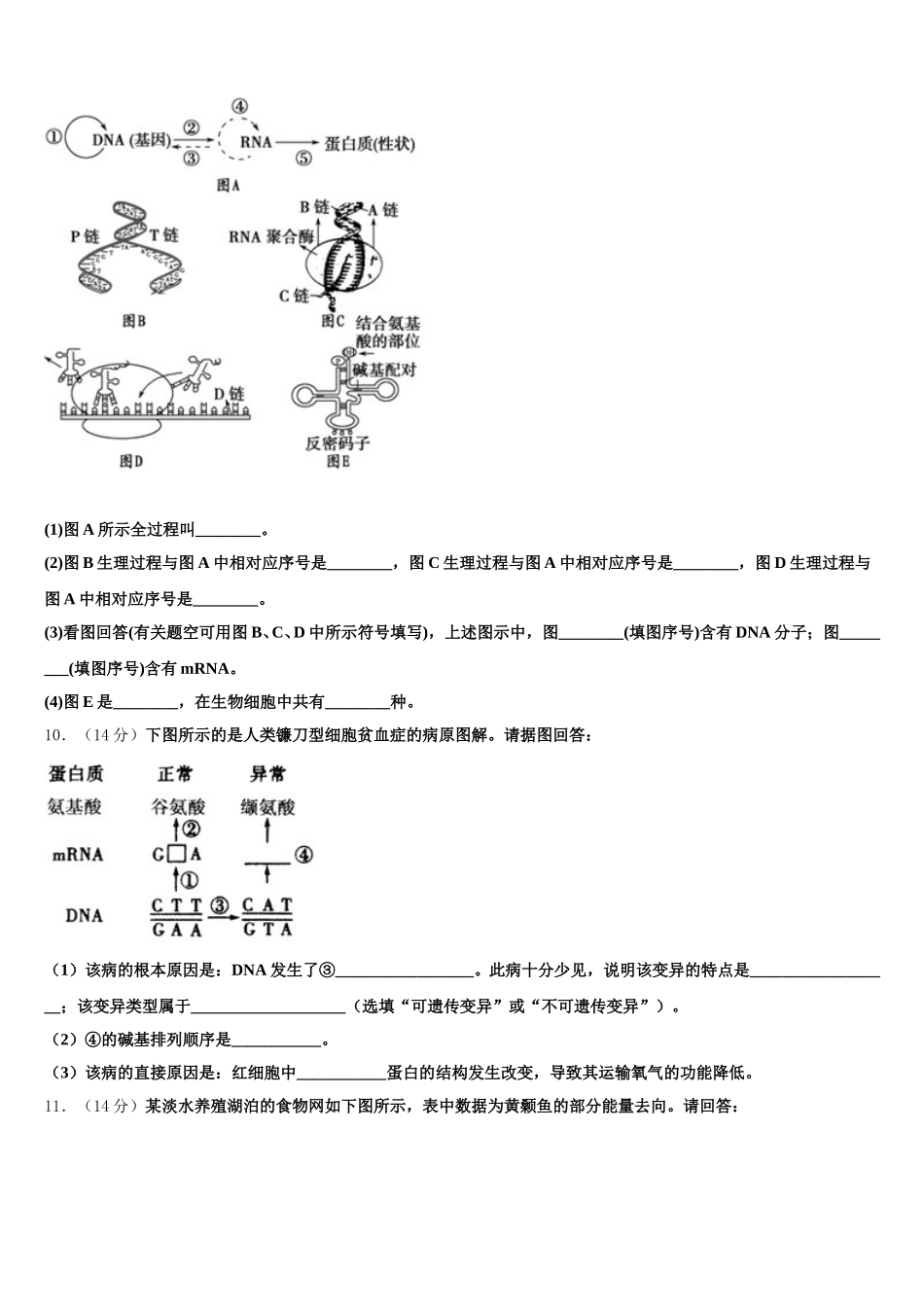 2025届湖南省冷水江市第一中学生物高一下期末质量检测试题含解析_第3页