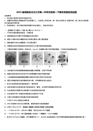 2025届湖南省冷水江市第一中学生物高一下期末质量检测试题含解析