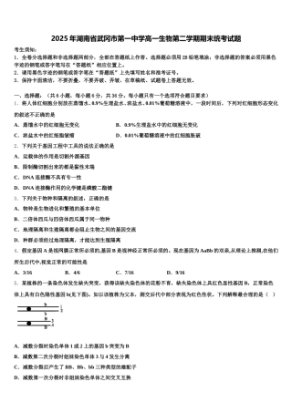 2025年湖南省武冈市第一中学高一生物第二学期期末统考试题含解析