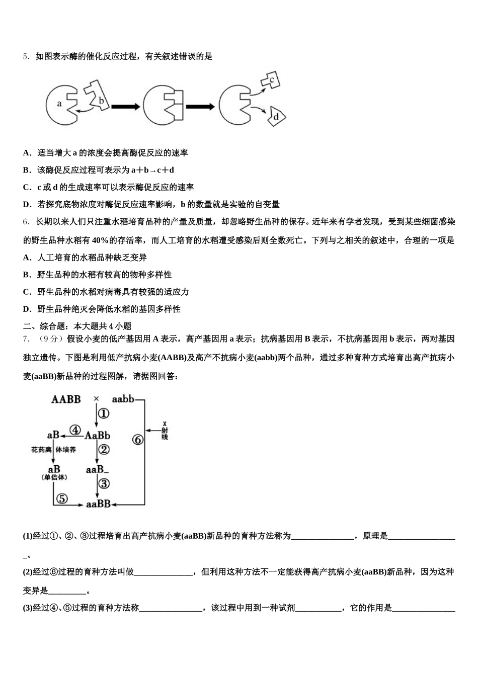 2025年湖南省邵阳市洞口县第九中学生物高一下期末达标检测模拟试题含解析_第2页