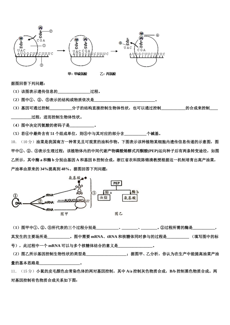 2024-2025学年湖南省长沙市一中、湖南师大附中生物高一下期末检测模拟试题含解析_第3页