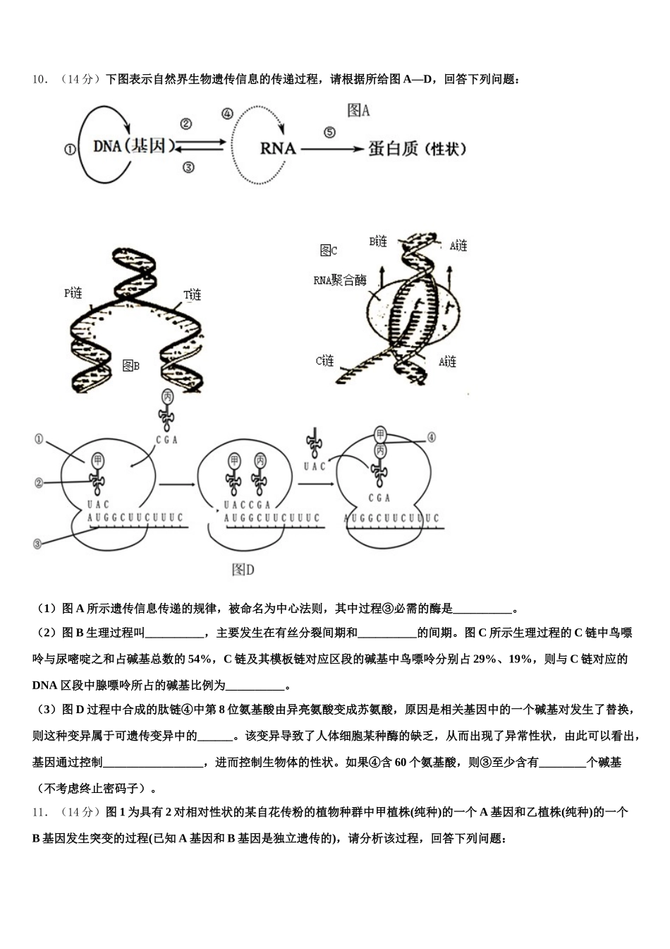 2025届湖南省长沙市师大附中梅溪湖中学生物高一第二学期期末监测模拟试题含解析_第3页