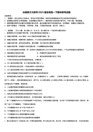 炎德英才大联考2025届生物高一下期末联考试题含解析